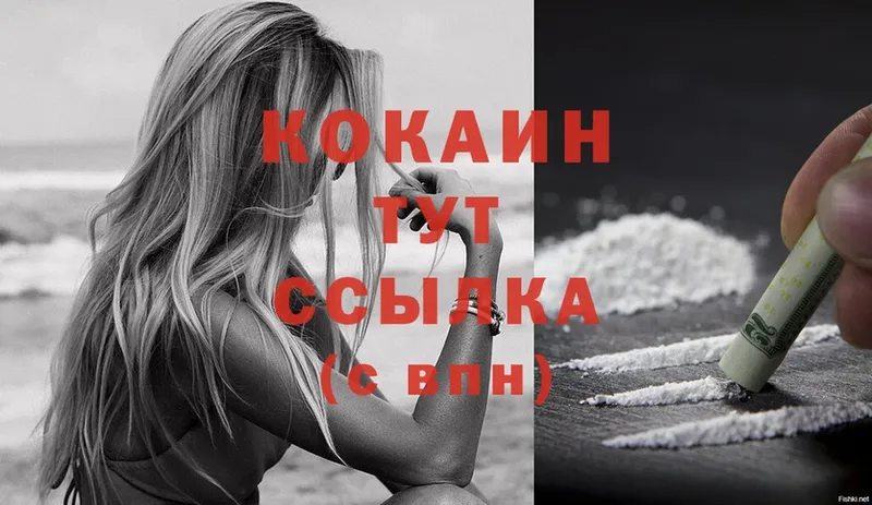 купить  сайты  Куртамыш  Cocaine Колумбийский 